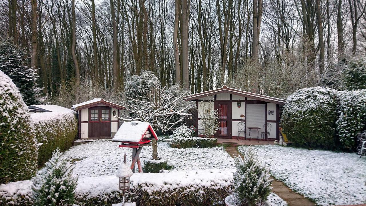 Haus Im Grunen Villa Billerbeck Dış mekan fotoğraf